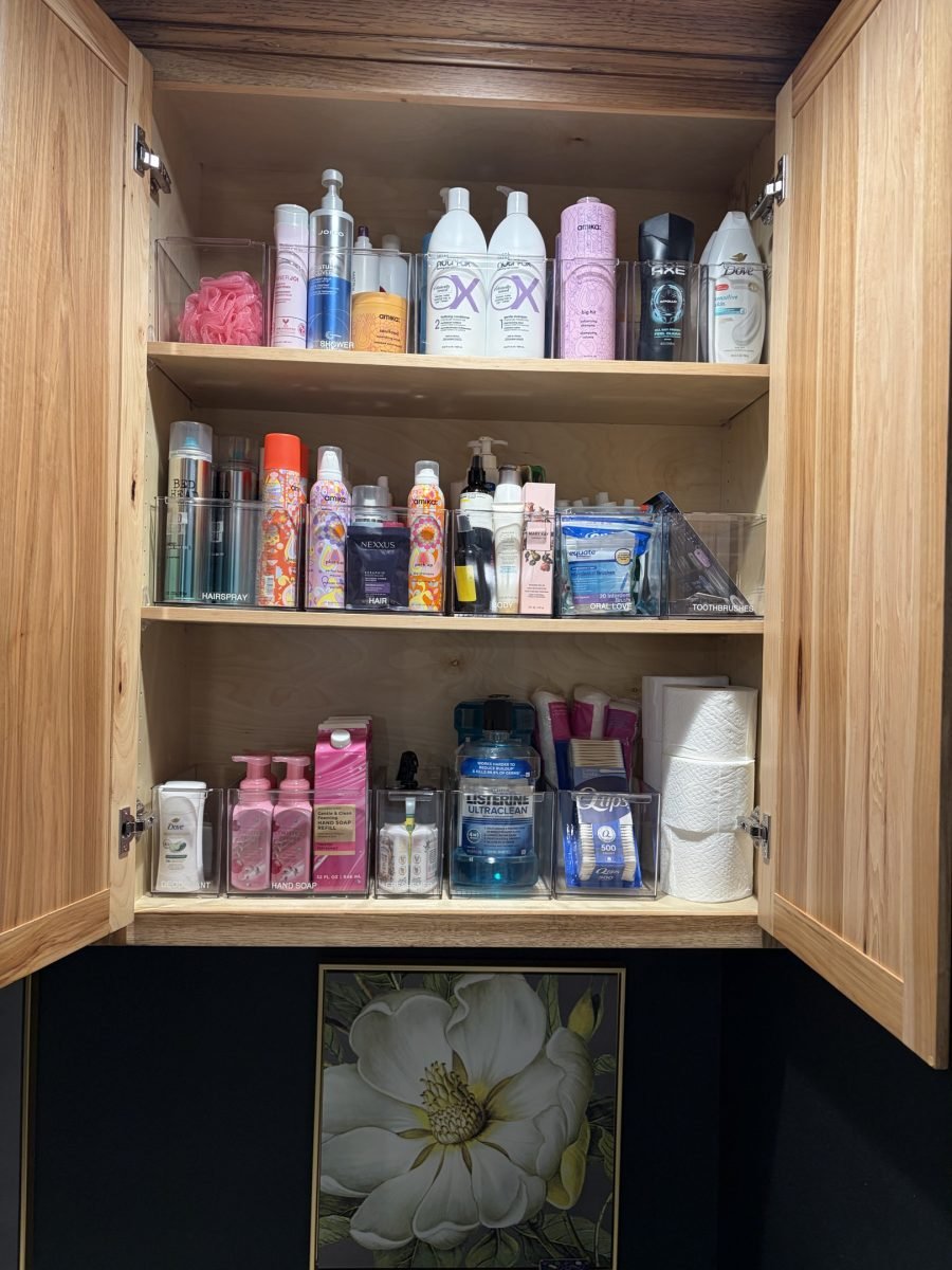 An open bathroom cabinet with haircare and skincare bottles shelved by type